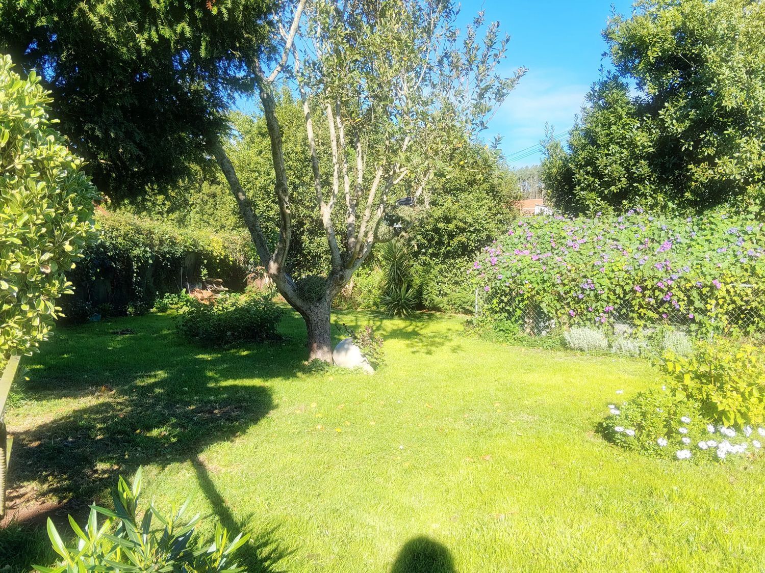 Casas o chalets-Venta-GozÃ³n-1942379-Foto-43