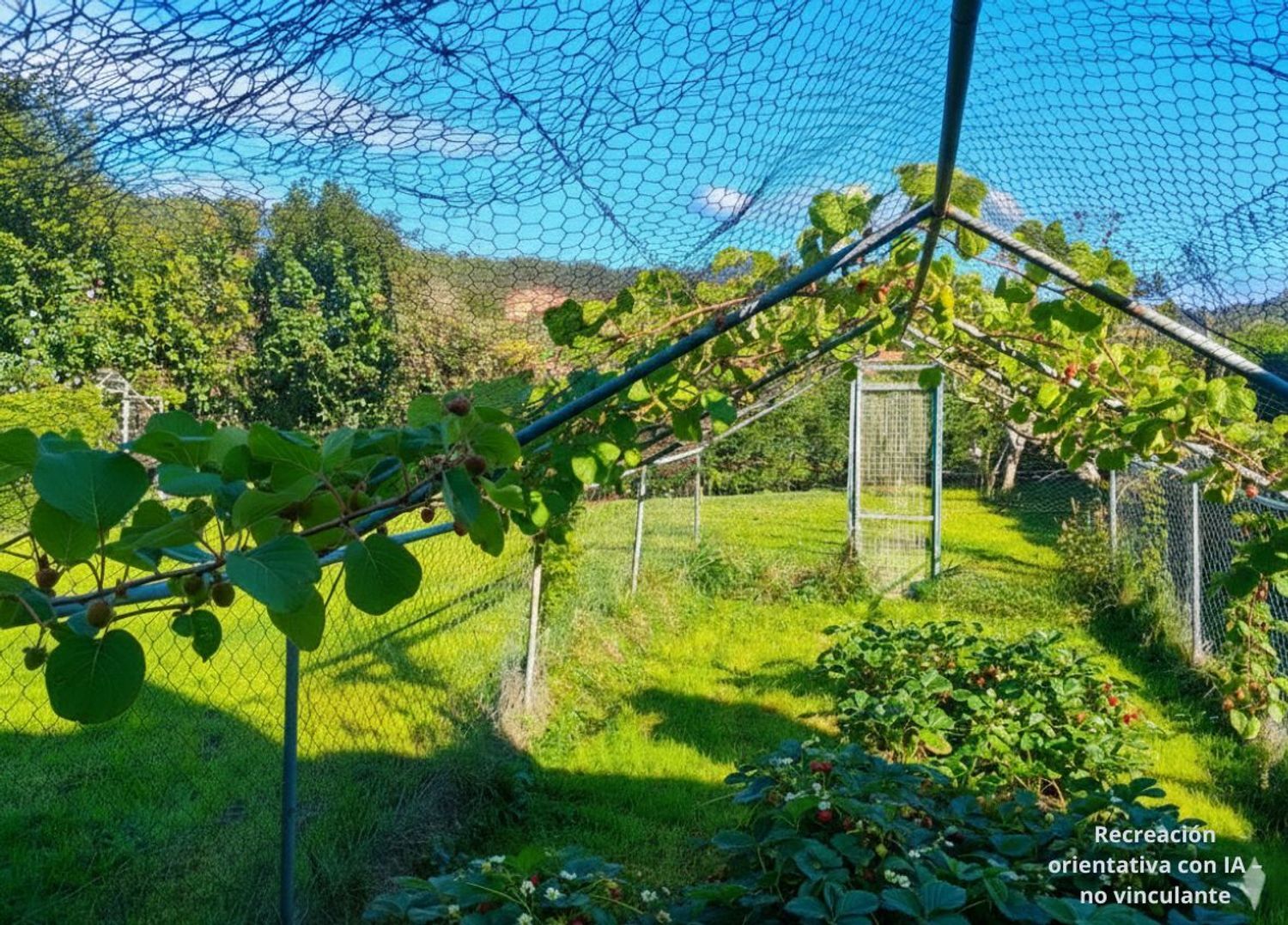 Casas o chalets-Venta-GozÃ³n-1942379-Foto-45