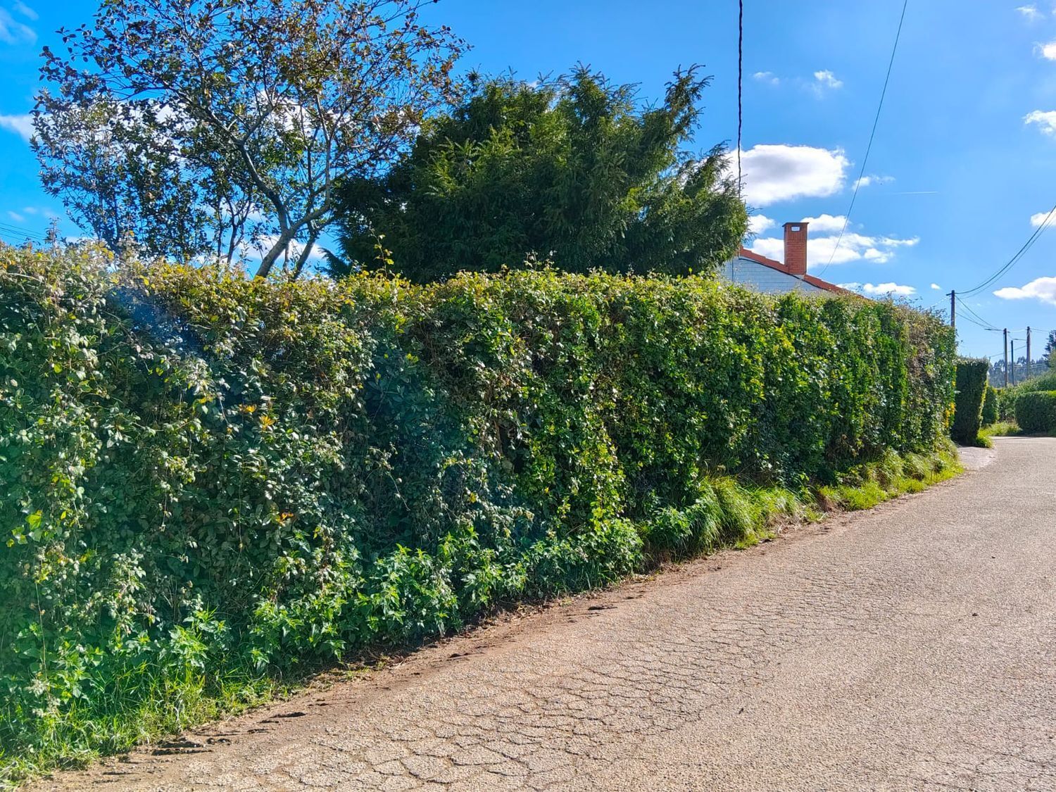 Casas o chalets-Venta-GozÃ³n-1942379-Foto-48