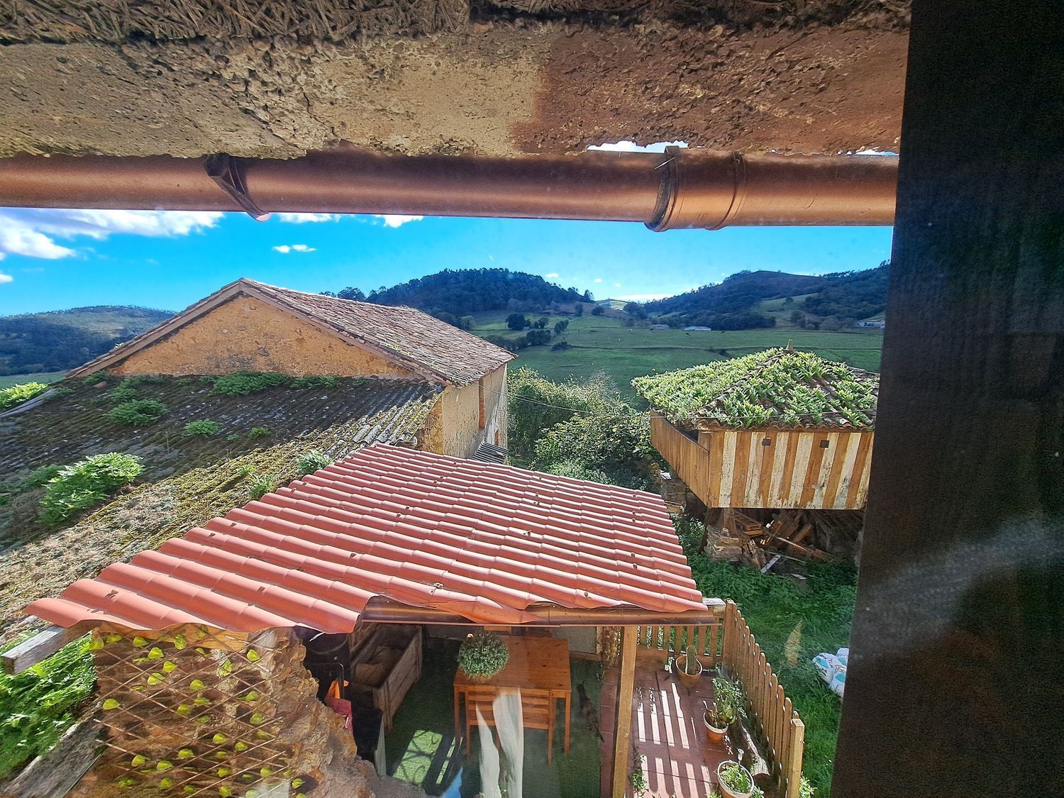 Casas o chalets-Venta-Llanera-1942382-Foto-2