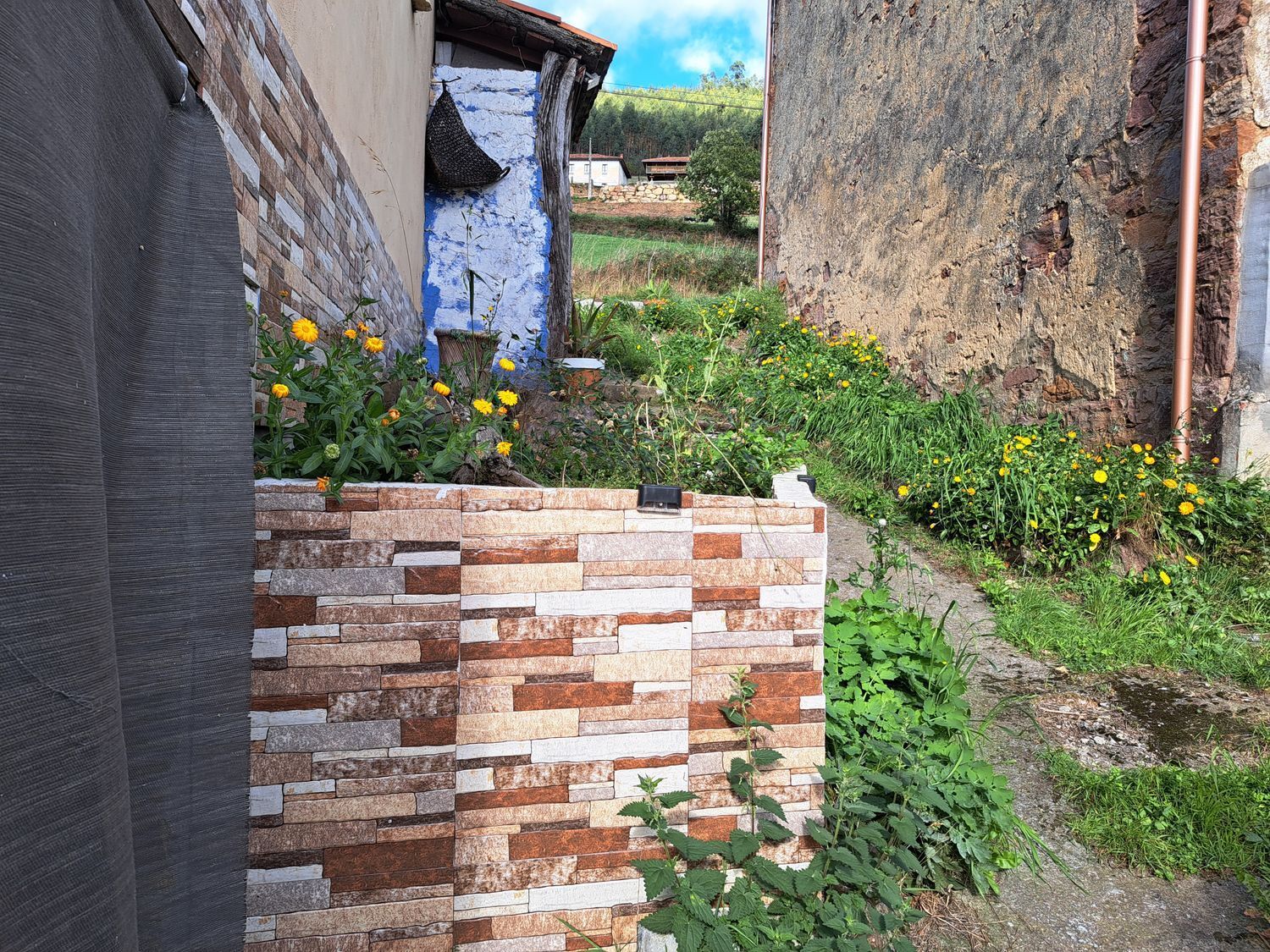 Casas o chalets-Venta-Llanera-1942382-Foto-28