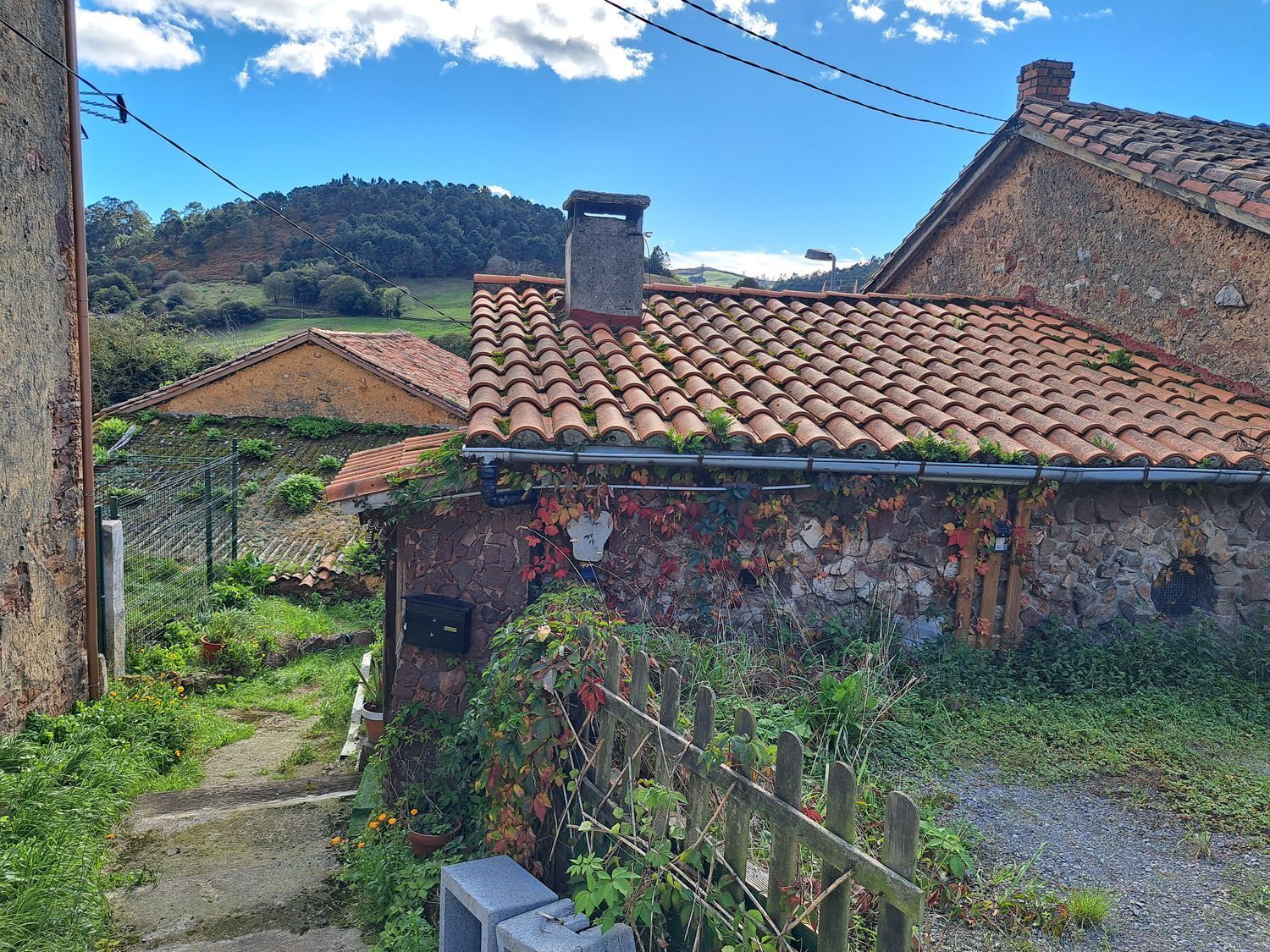Casas o chalets-Venta-Llanera-1942382-Foto-50