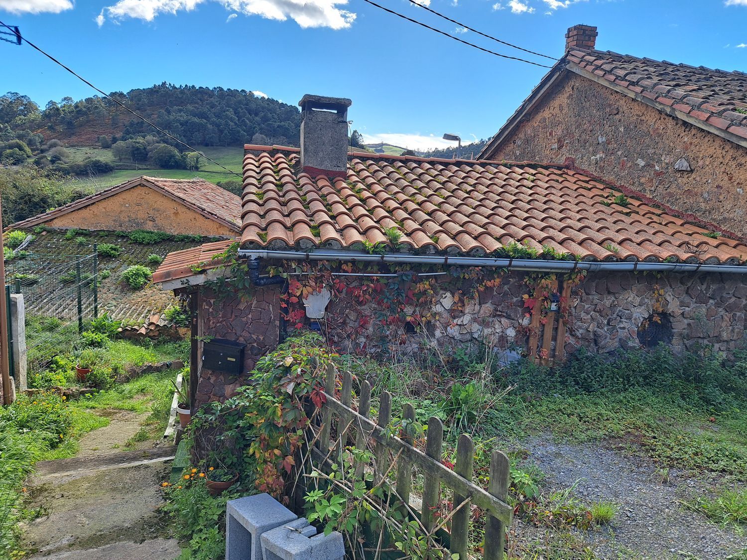 Casas o chalets-Venta-Llanera-1942382-Foto-49
