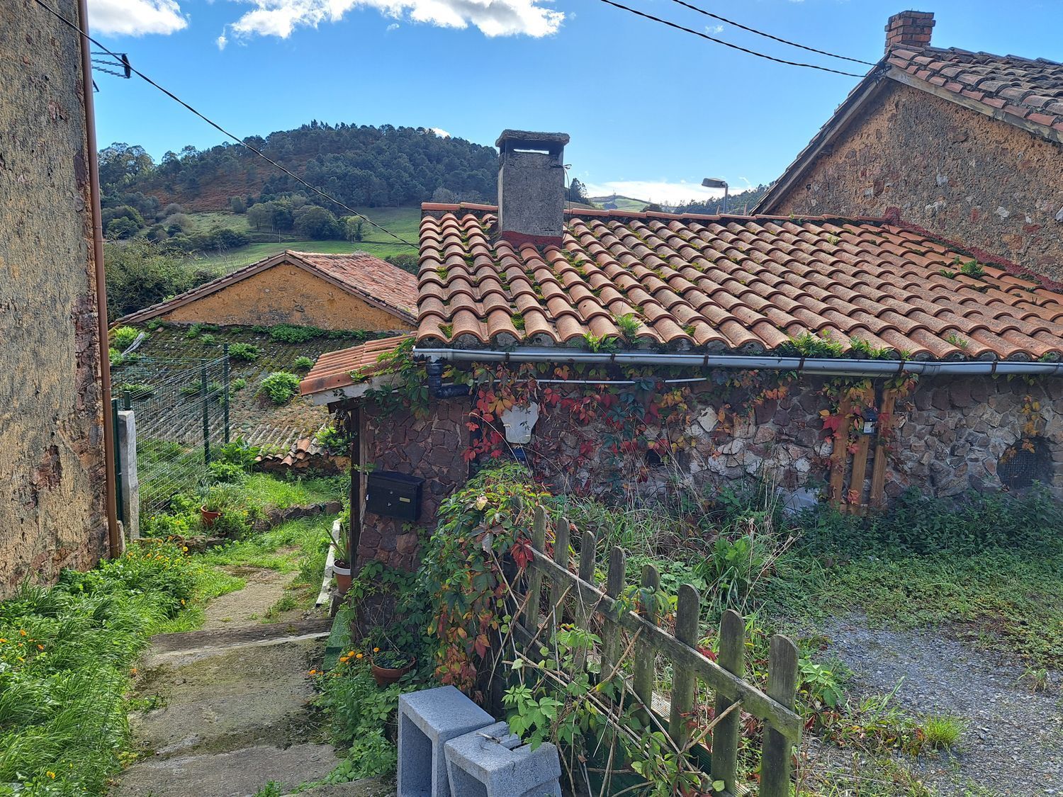 Casas o chalets-Venta-Llanera-1942382-Foto-51