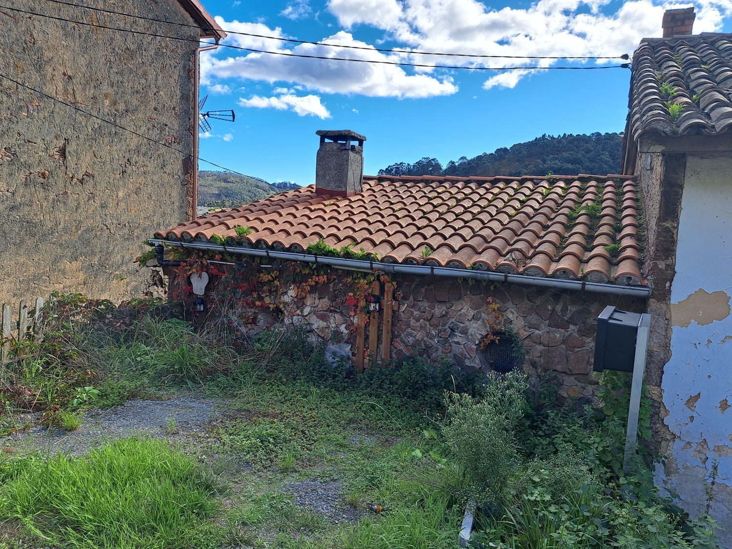 Casas o chalets-Venta-Llanera-1942382-Foto-53