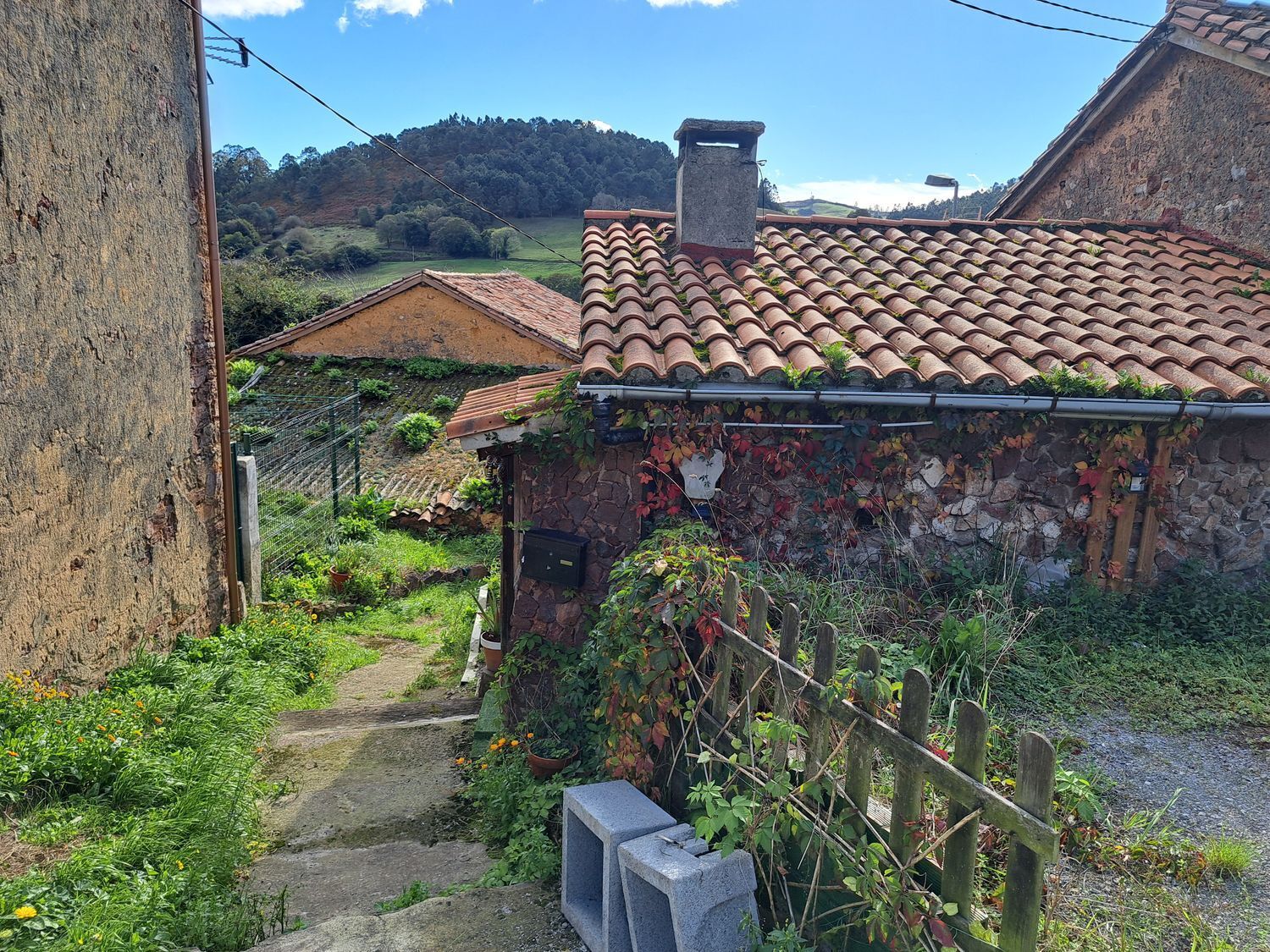 Casas o chalets-Venta-Llanera-1942382-Foto-52