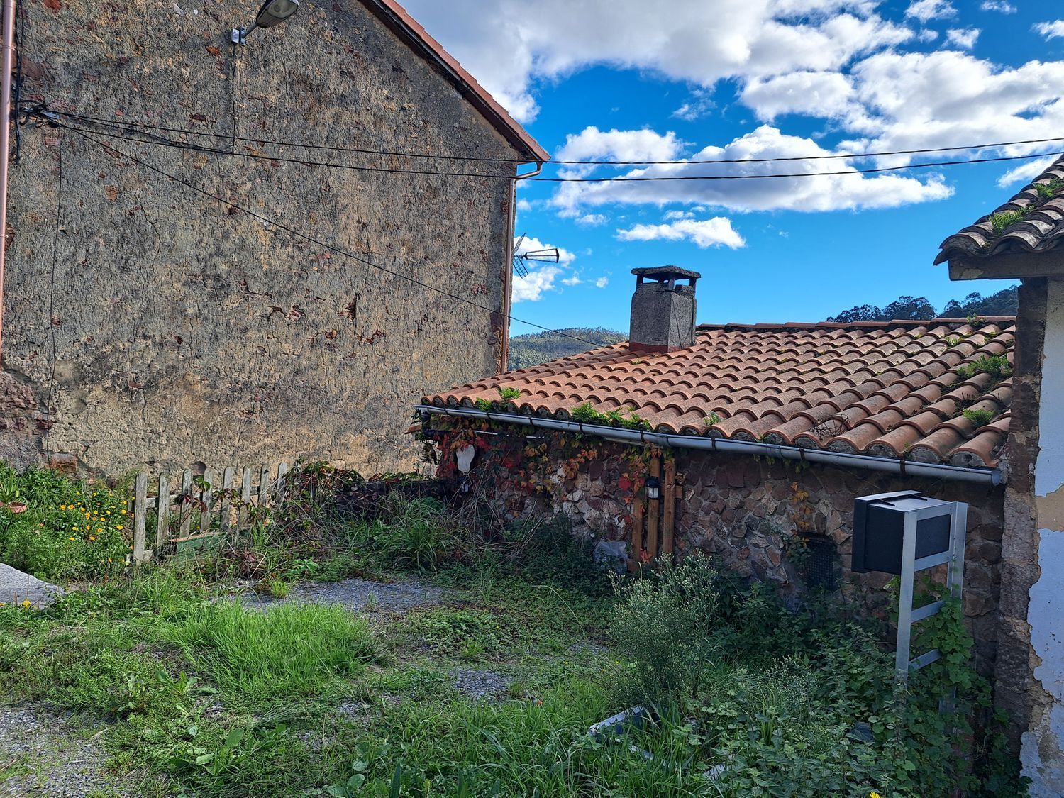 Casas o chalets-Venta-Llanera-1942382-Foto-54