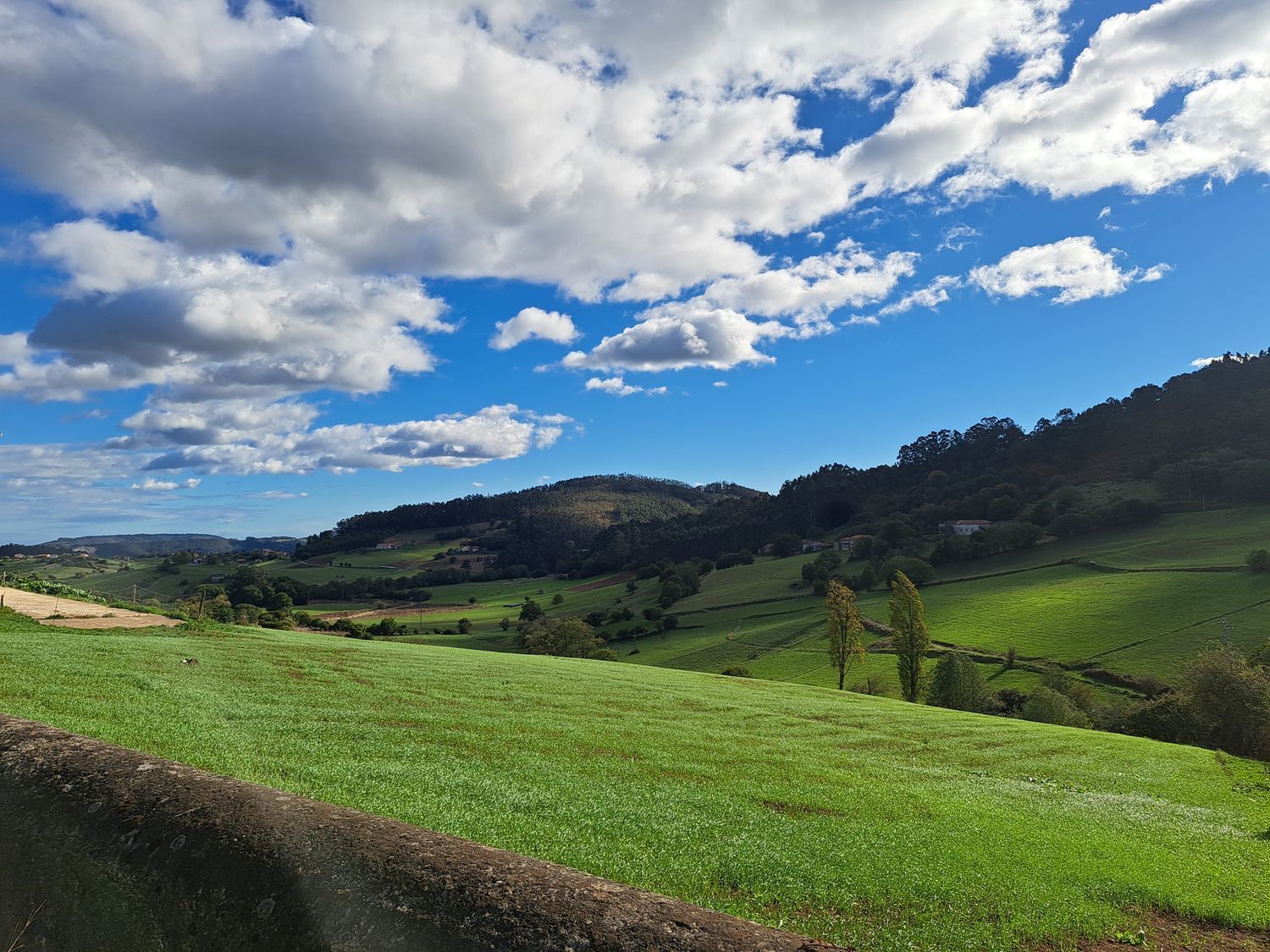 Casas o chalets-Venta-Llanera-1942382-Foto-57