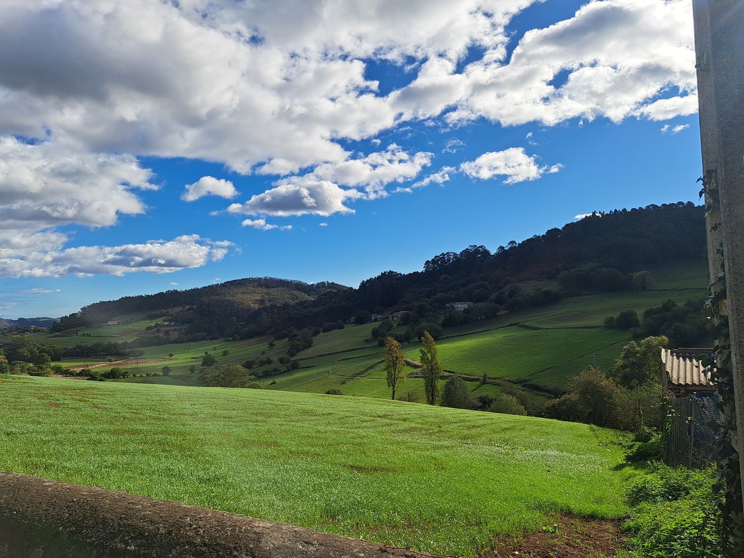 Casas o chalets-Venta-Llanera-1942382-Foto-58