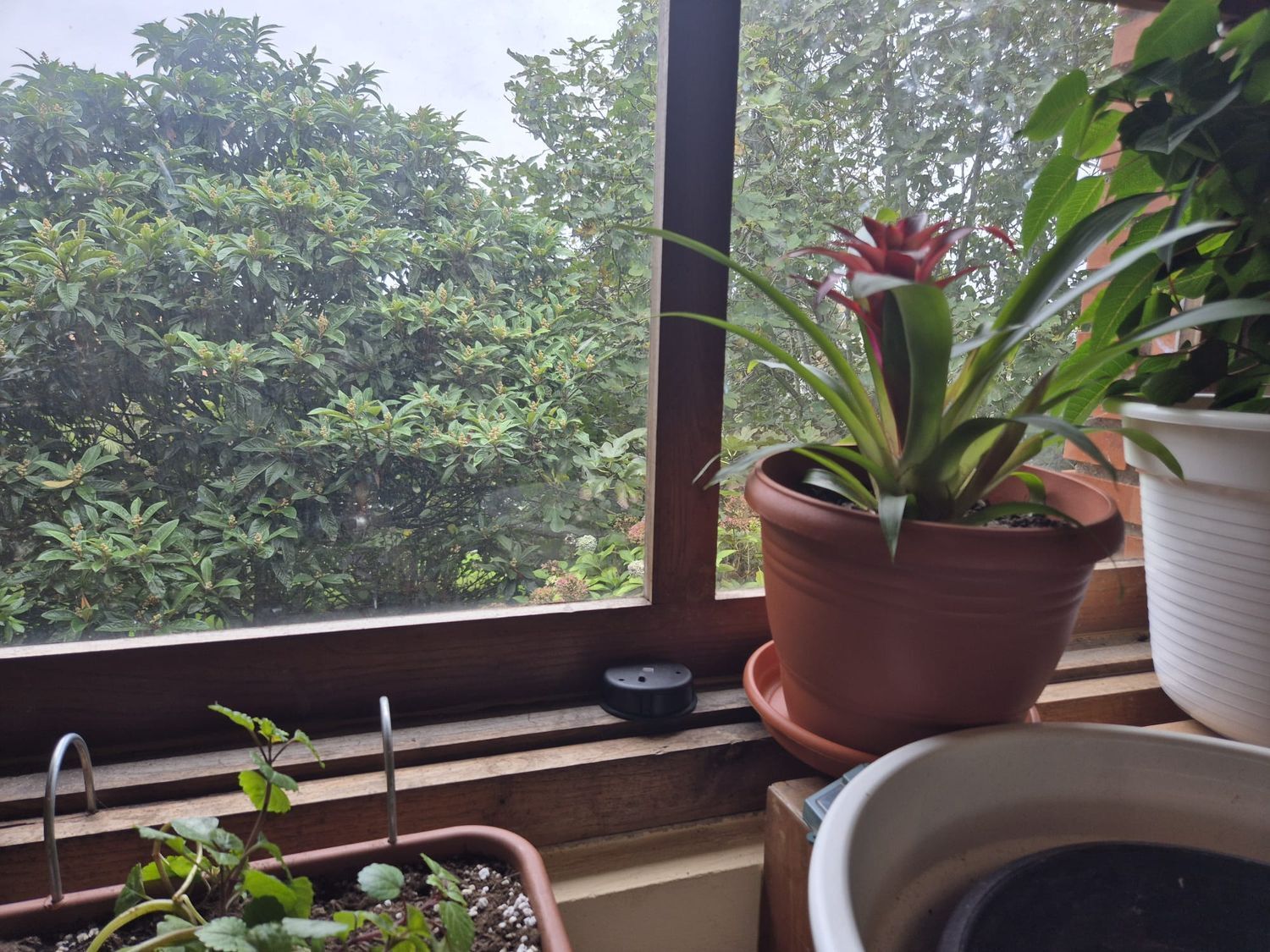 Casas o chalets-Venta-Gijón-1942385-Foto-101