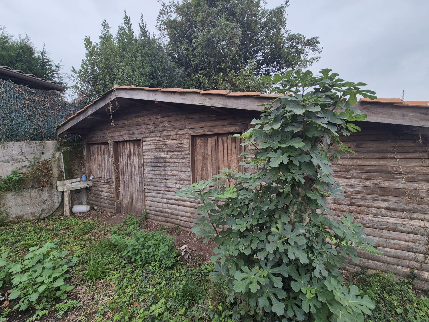 Casas o chalets-Venta-Gijón-1942385-Foto-102