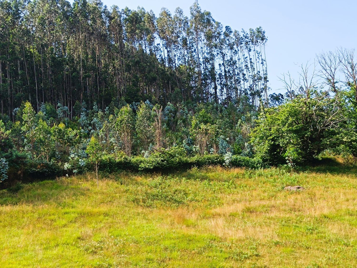 Fincas y solares-Venta-Llanera-1763509-Foto-4