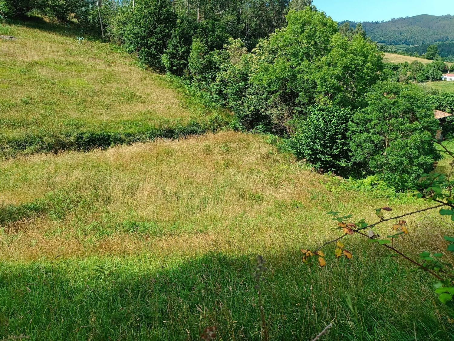 Fincas y solares-Venta-Llanera-1763509-Foto-6