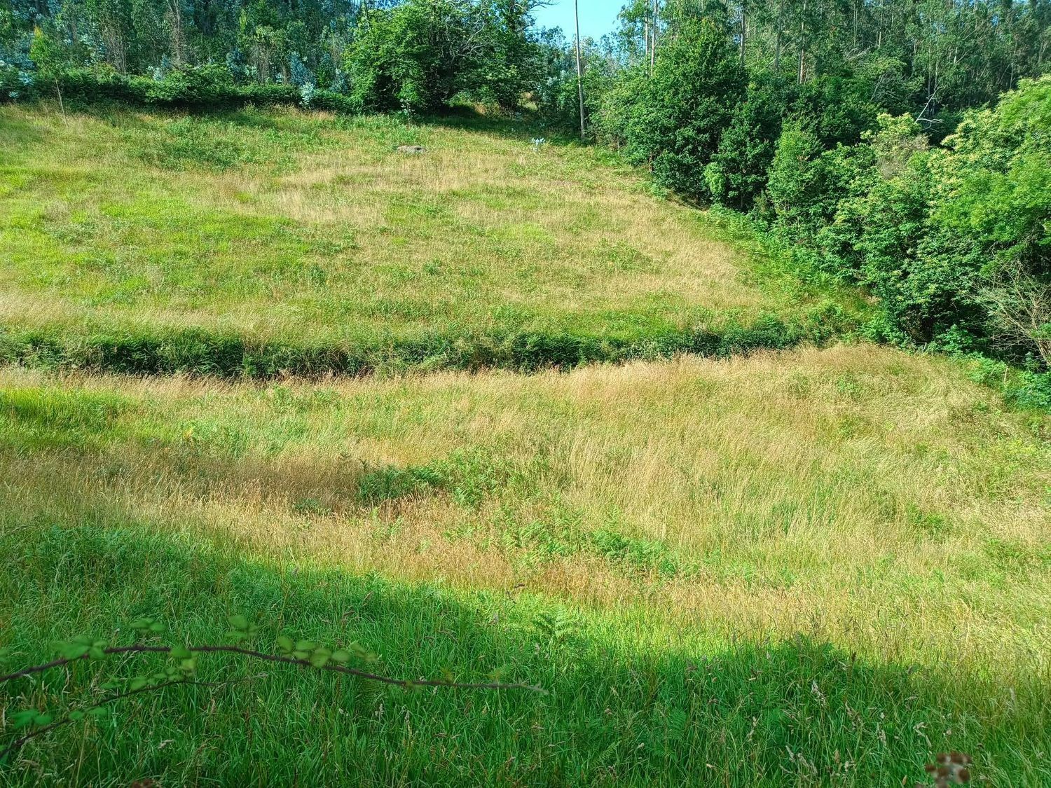 Fincas y solares-Venta-Llanera-1763509-Foto-7