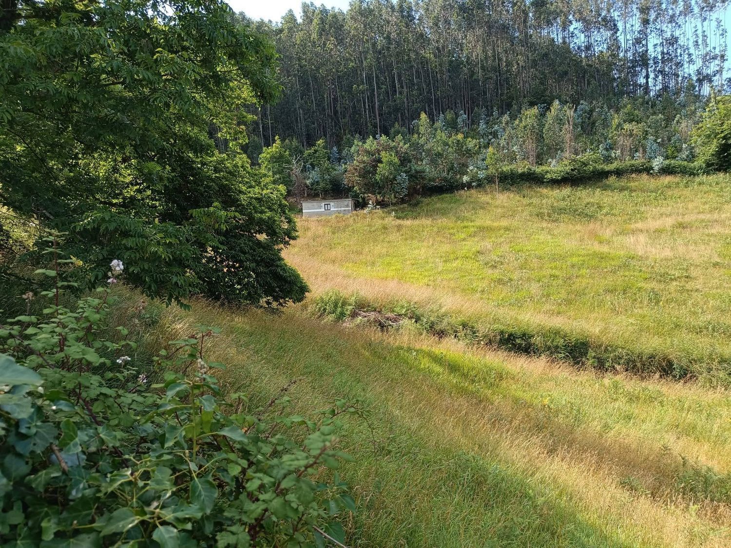 Fincas y solares-Venta-Llanera-1763509-Foto-9