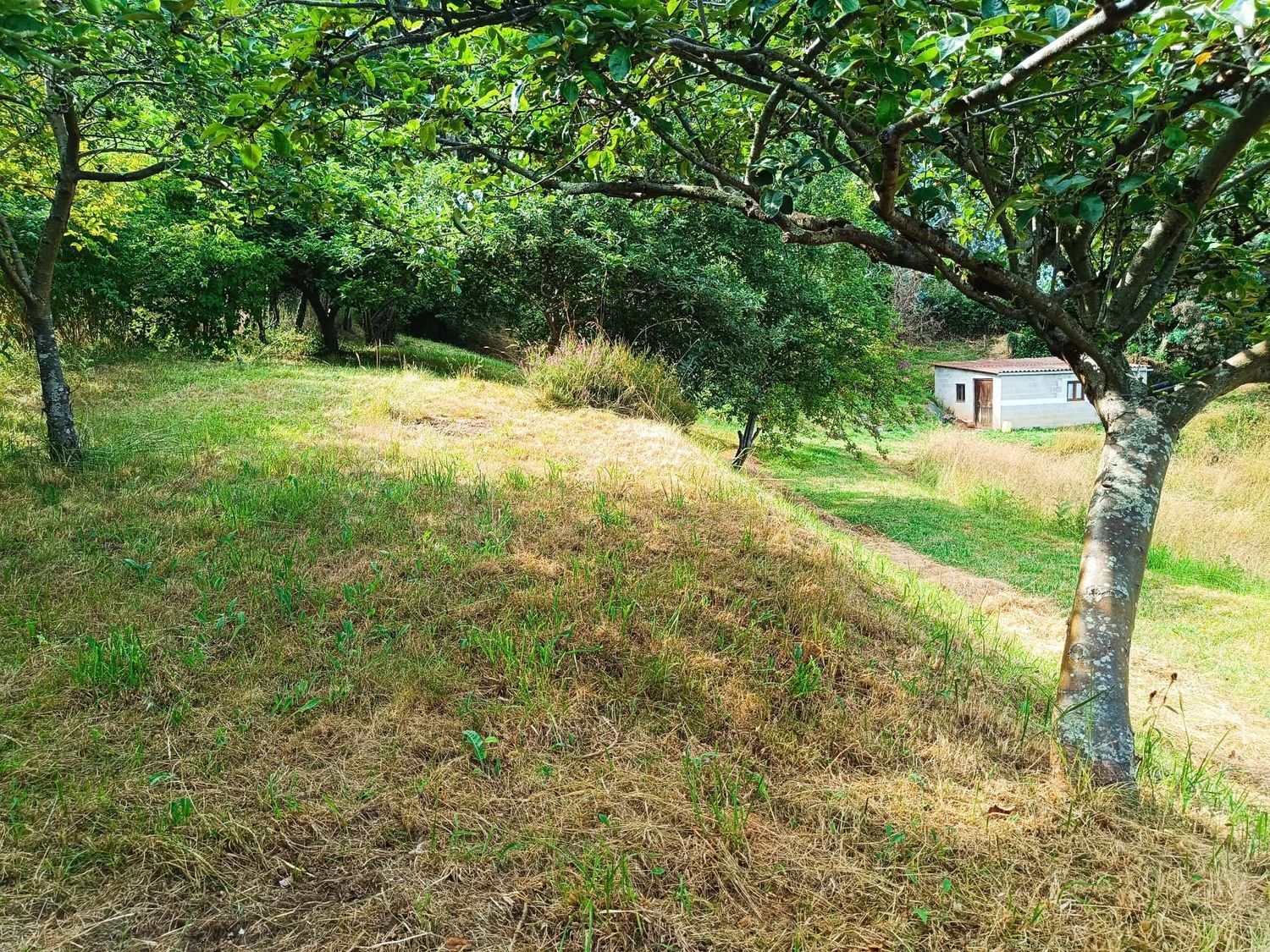 Fincas y solares-Venta-Llanera-1763509-Foto-12