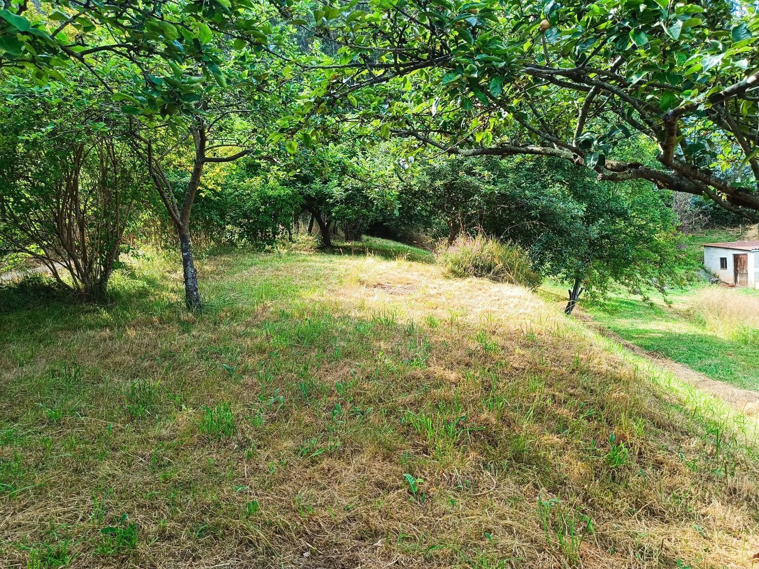 Fincas y solares-Venta-Llanera-1763509-Foto-11