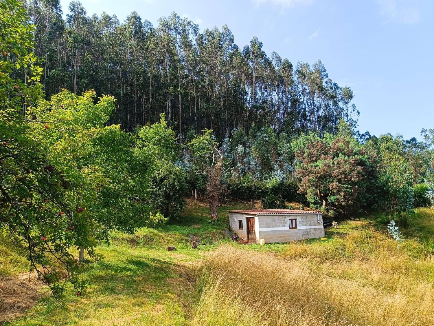 Fincas y solares-Venta-Llanera-1763509-Foto-17