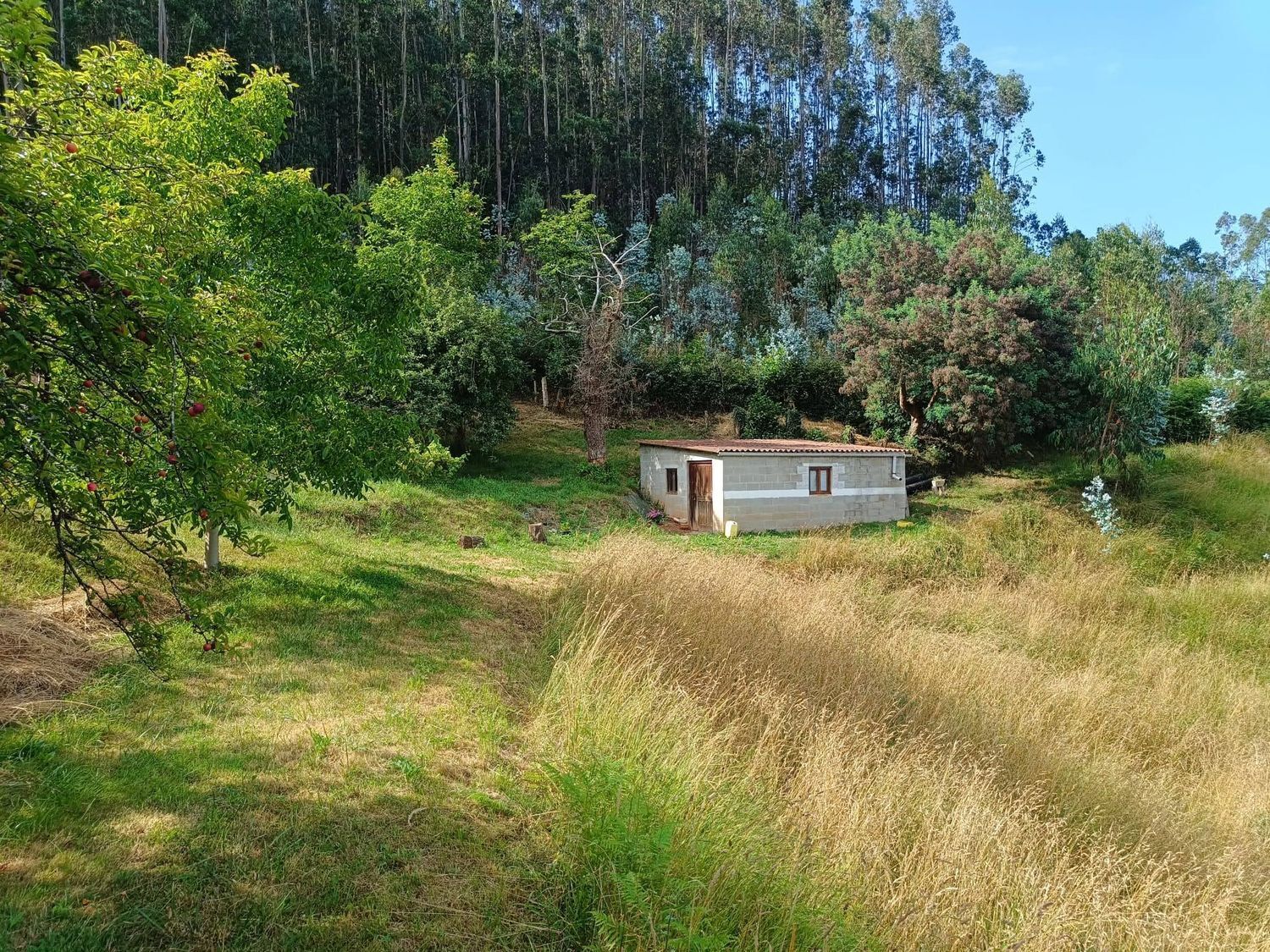 Fincas y solares-Venta-Llanera-1763509-Foto-18