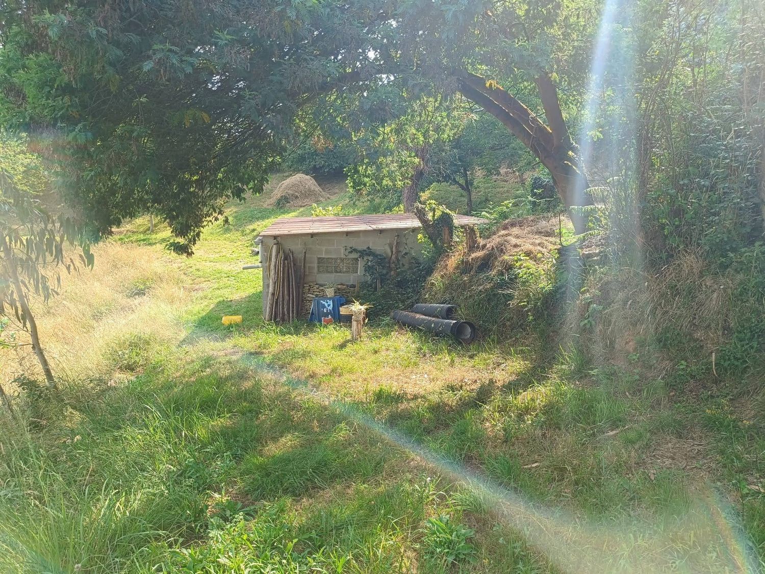 Fincas y solares-Venta-Llanera-1763509-Foto-19