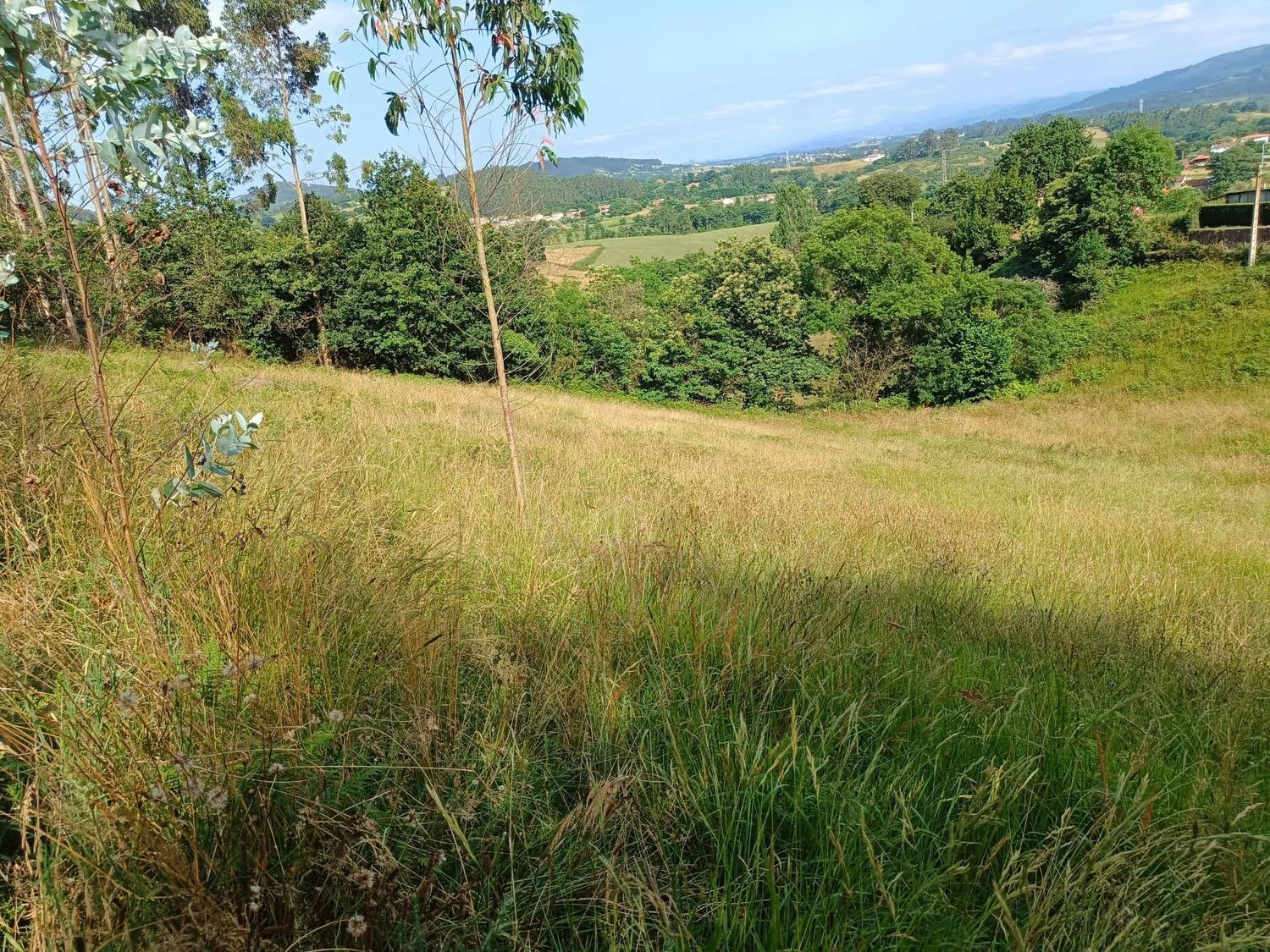 Fincas y solares-Venta-Llanera-1763509-Foto-26