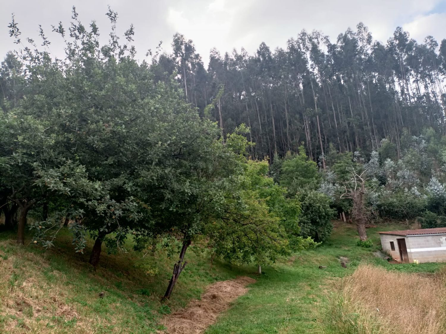 Fincas y solares-Venta-Llanera-1763509-Foto-33