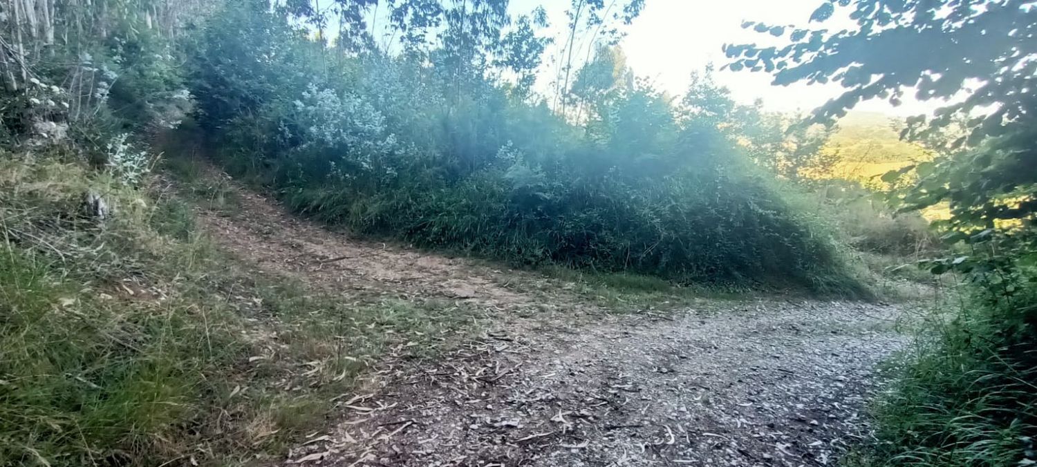 Fincas y solares-Venta-Llanera-1763509-Foto-36