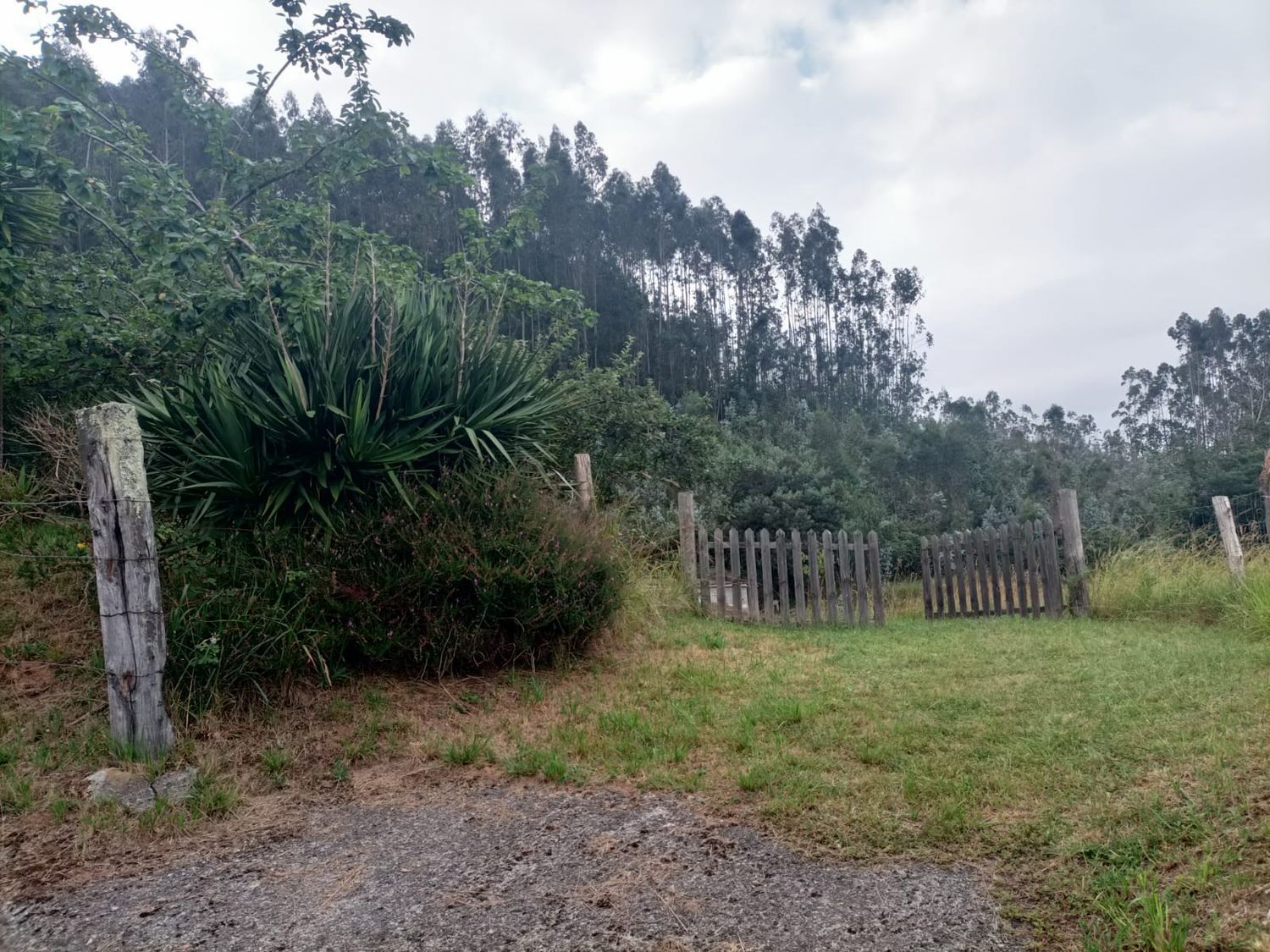 Fincas y solares-Venta-Llanera-1763509-Foto-34