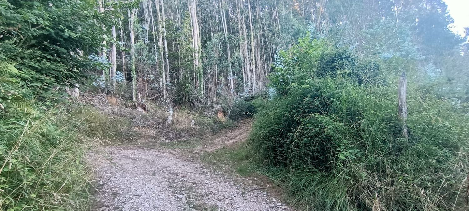 Fincas y solares-Venta-Llanera-1763509-Foto-37