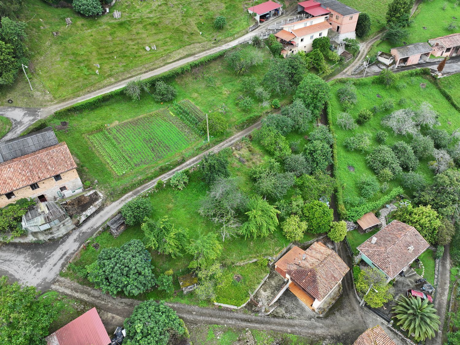 Casas o chalets-Venta-Villaviciosa-1751834-Foto-2