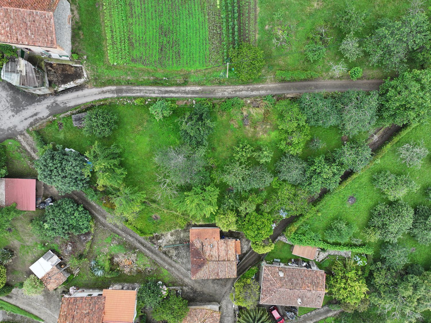 Casas o chalets-Venta-Villaviciosa-1751834-Foto-4