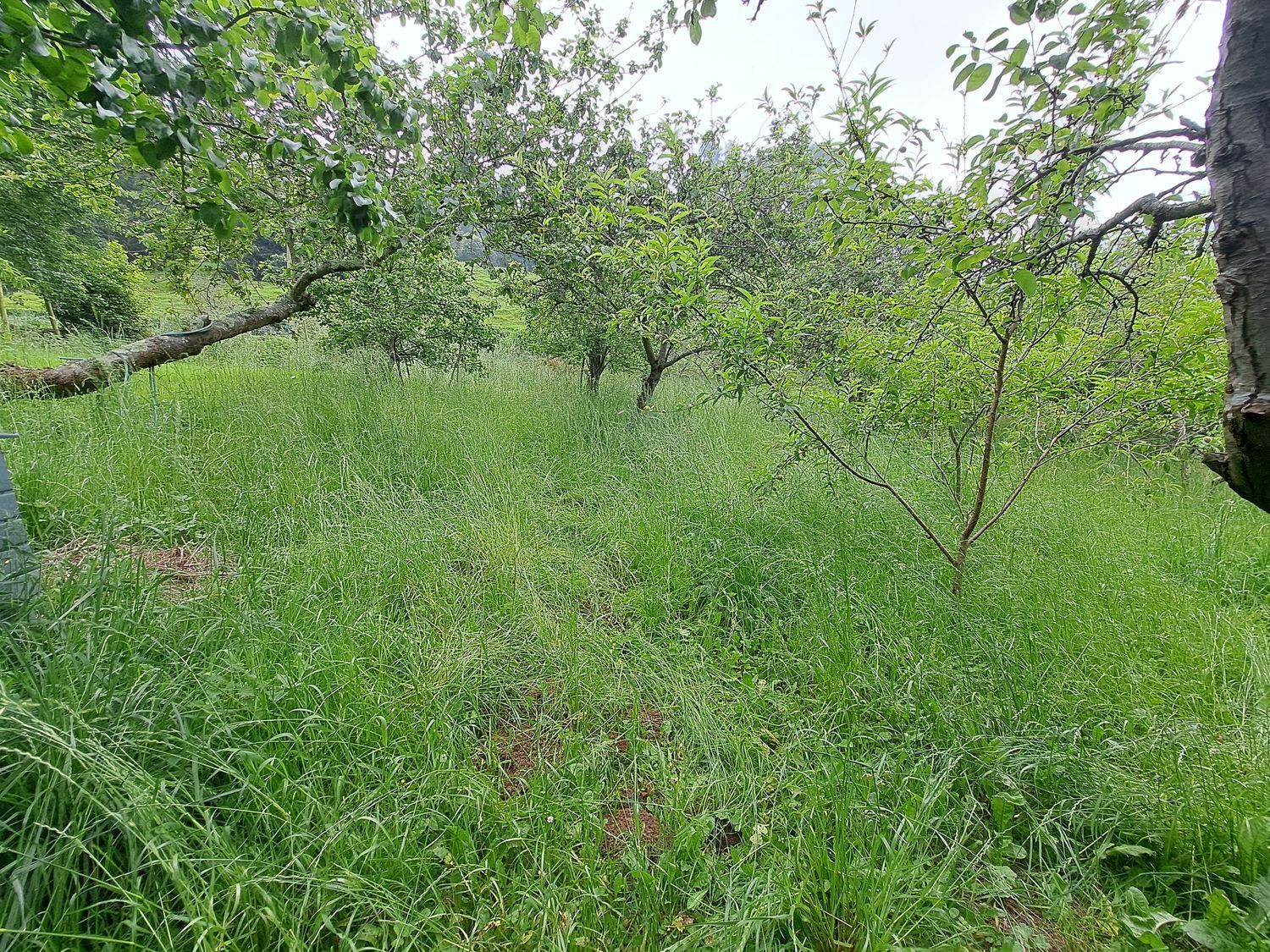 Casas o chalets-Venta-Villaviciosa-1751834-Foto-11