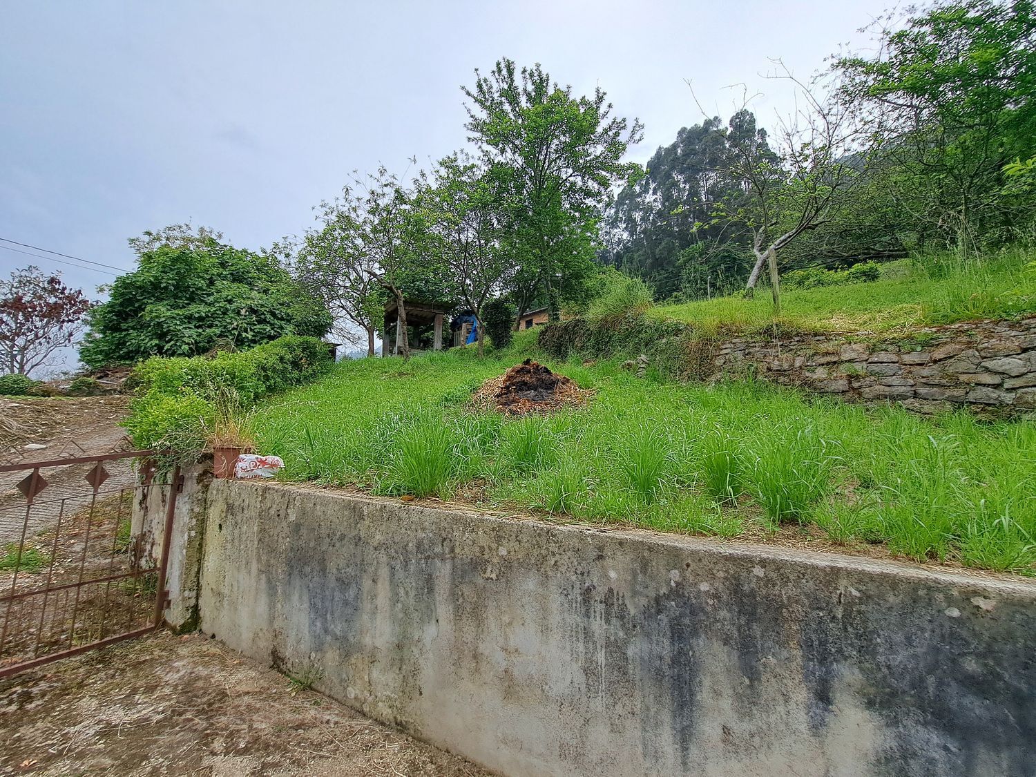 Casas o chalets-Venta-Villaviciosa-1751834-Foto-21