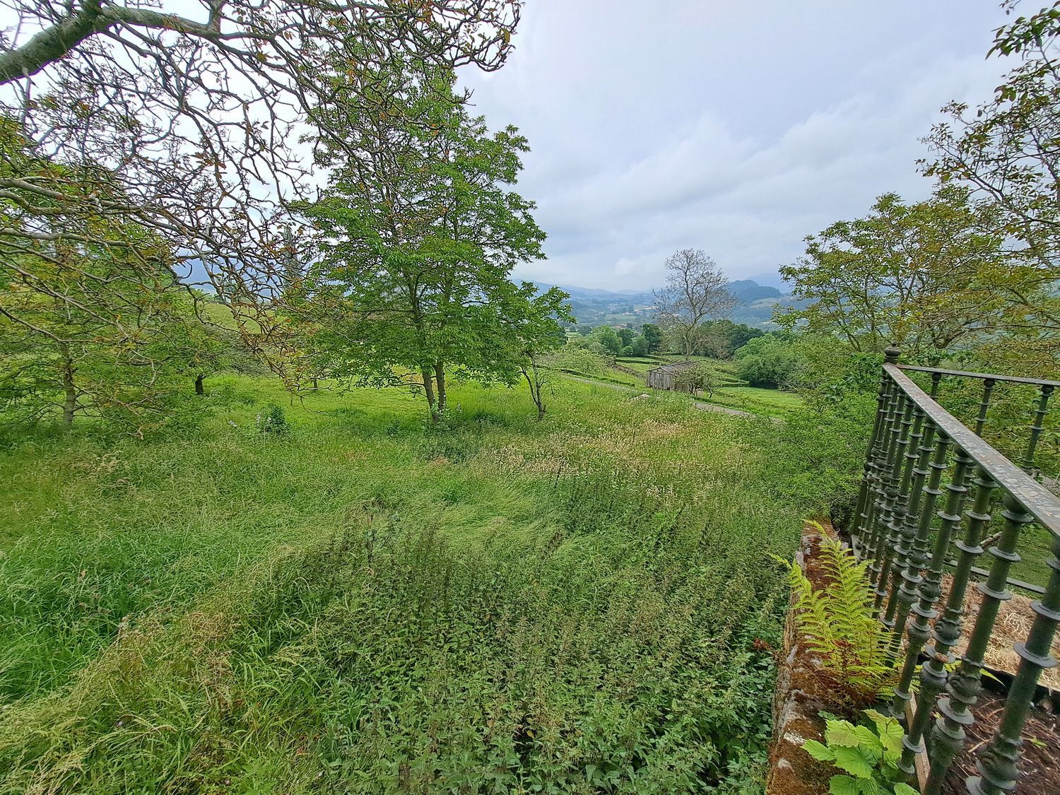 Casas o chalets-Venta-Villaviciosa-1751834-Foto-38