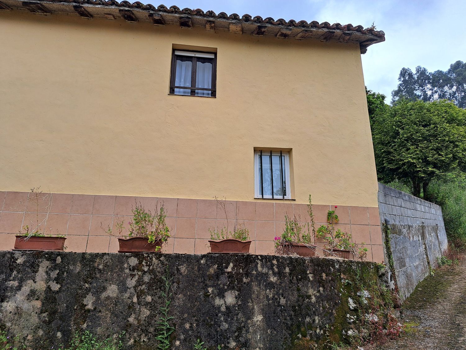Casas o chalets-Venta-Villaviciosa-1751834-Foto-43