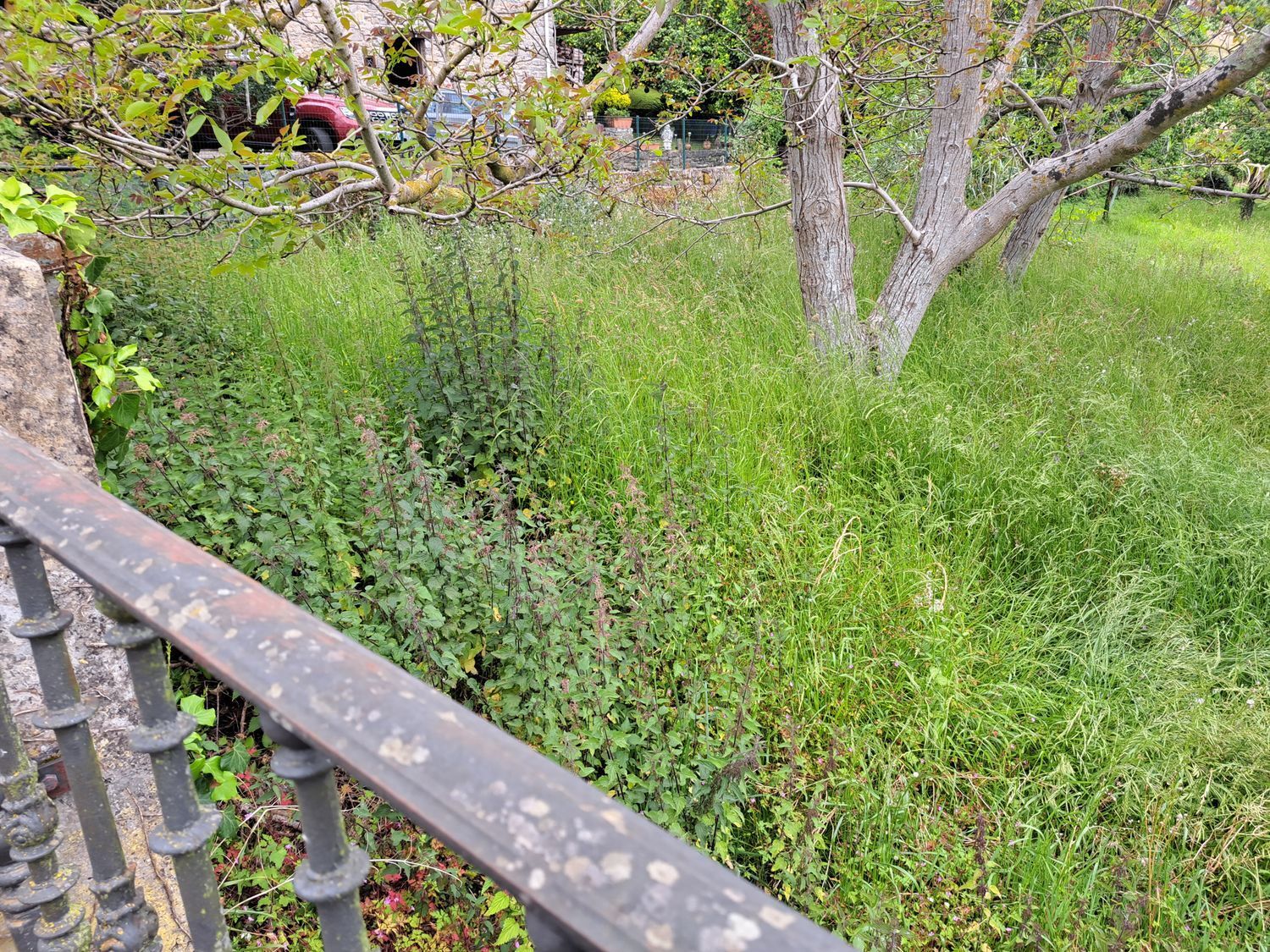 Casas o chalets-Venta-Villaviciosa-1751834-Foto-41