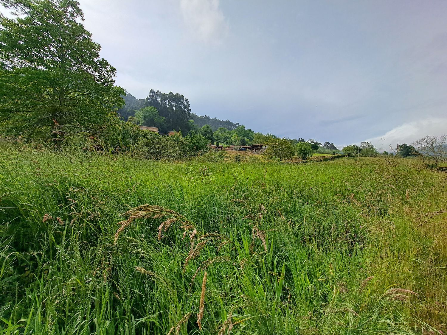 Casas o chalets-Venta-Villaviciosa-1751834-Foto-51