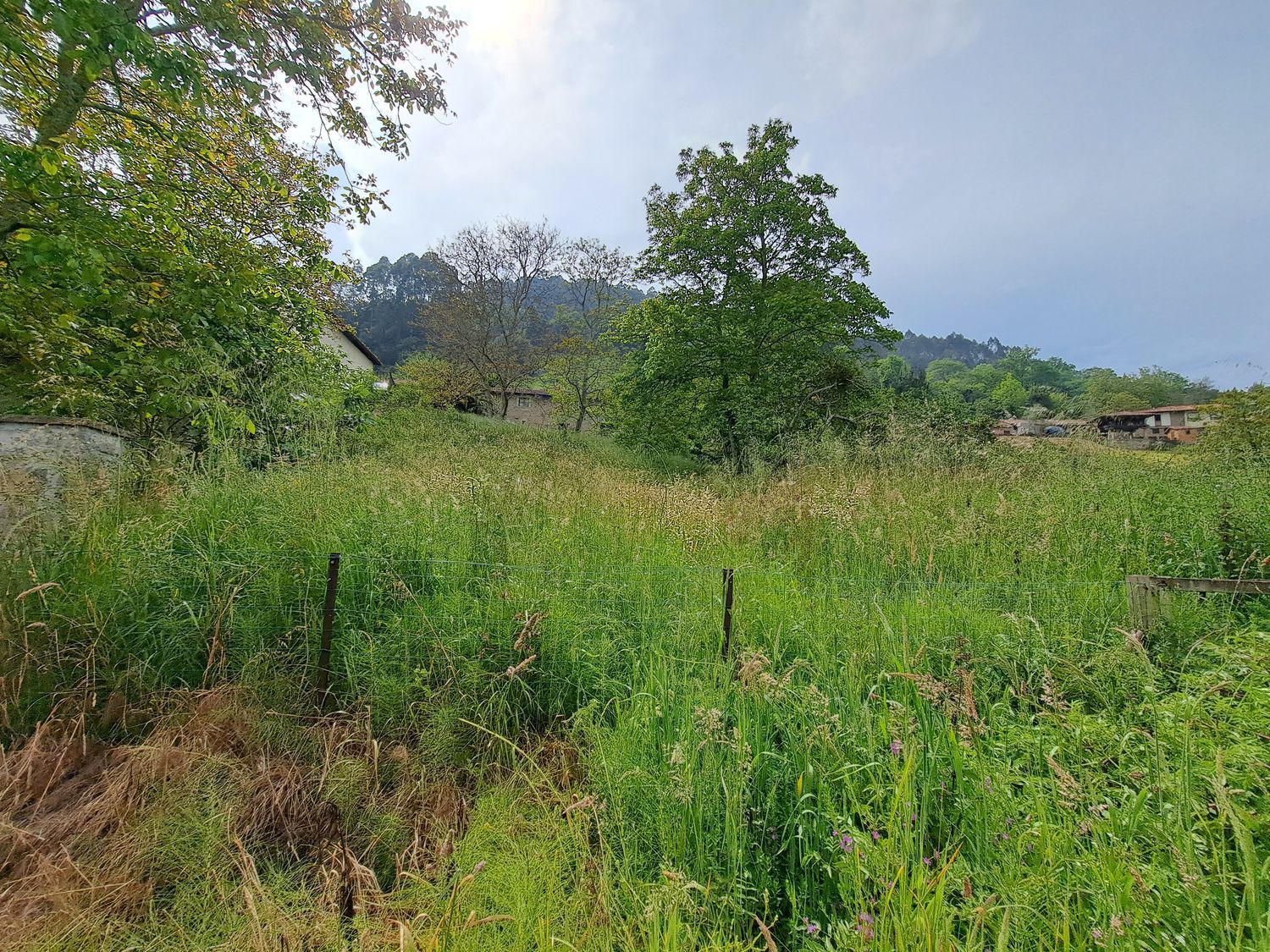 Casas o chalets-Venta-Villaviciosa-1751834-Foto-50