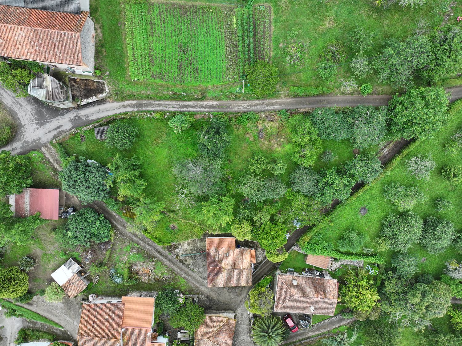 Casas o chalets-Venta-Villaviciosa-1751834-Foto-57