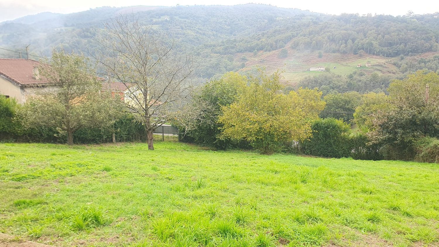 Fincas y solares-Venta-Langreo-1942388-Foto-27