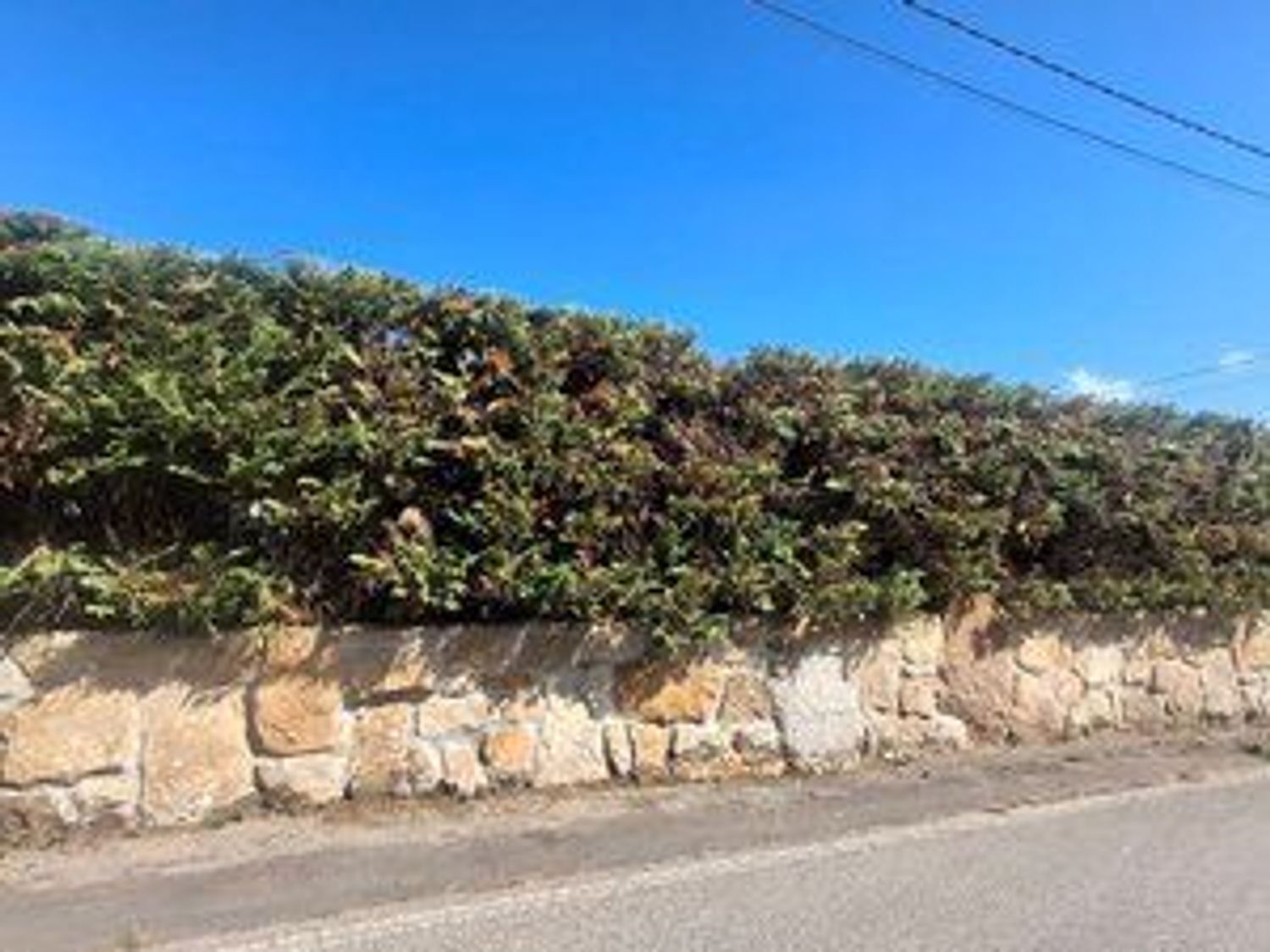 Fincas y solares-Venta-Villaviciosa-1942391-Foto-5