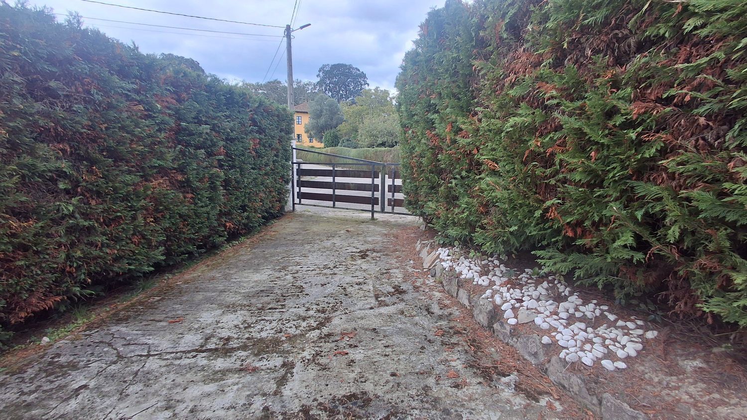 Fincas y solares-Venta-Villaviciosa-1942391-Foto-42