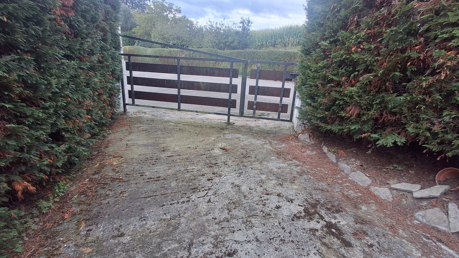 Fincas y solares-Venta-Villaviciosa-1942391-Foto-44