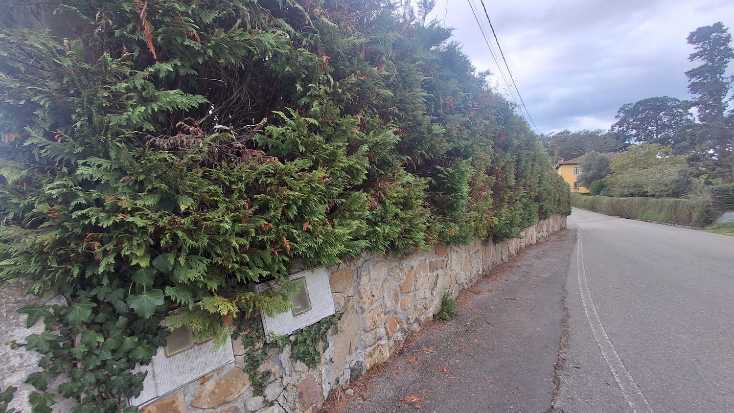 Fincas y solares-Venta-Villaviciosa-1942391-Foto-46