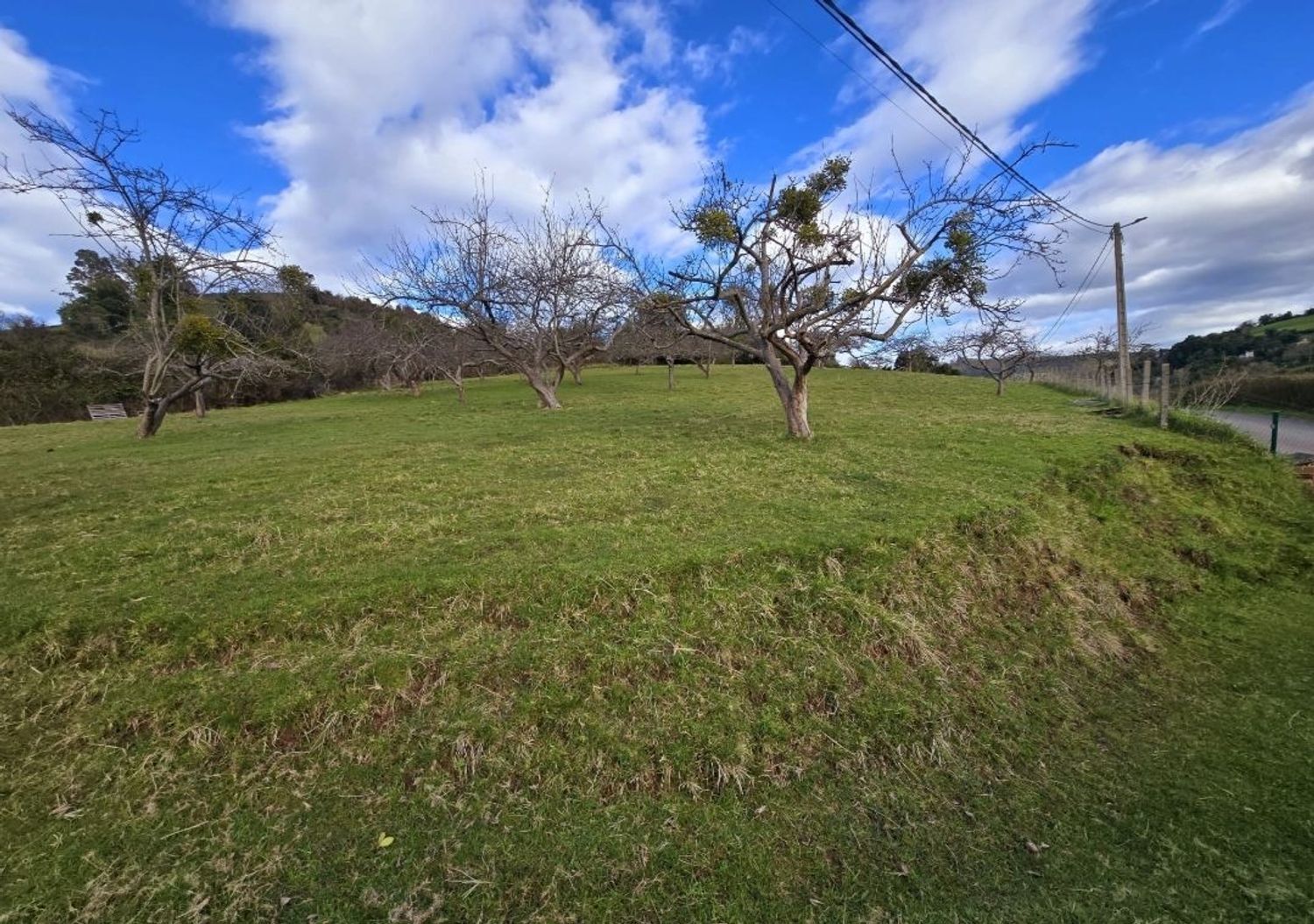 Fincas y solares-Venta-GijÃ³n-1681029-Foto-5