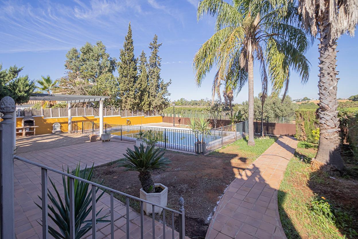 Casas o chalets-Venta-Mairena del Alcor-1942397-Foto-59