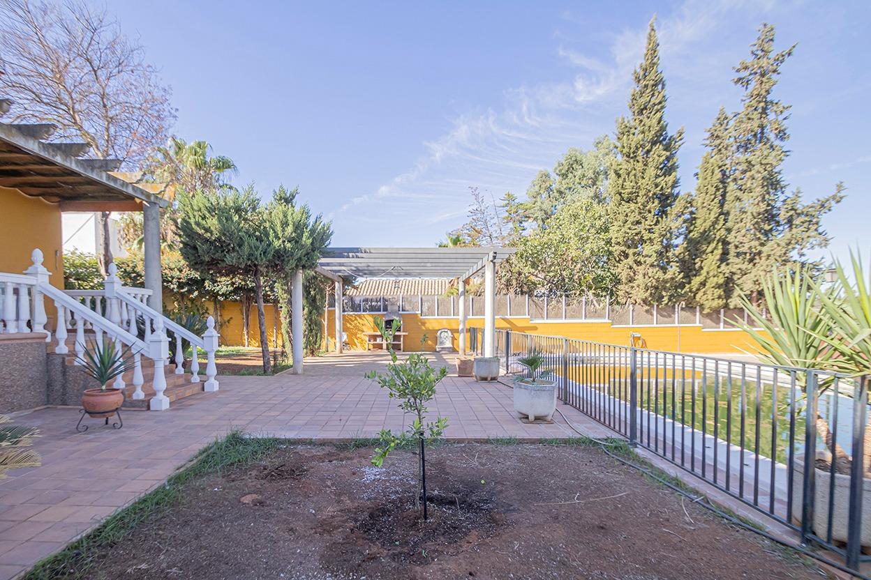 Casas o chalets-Venta-Mairena del Alcor-1942397-Foto-63