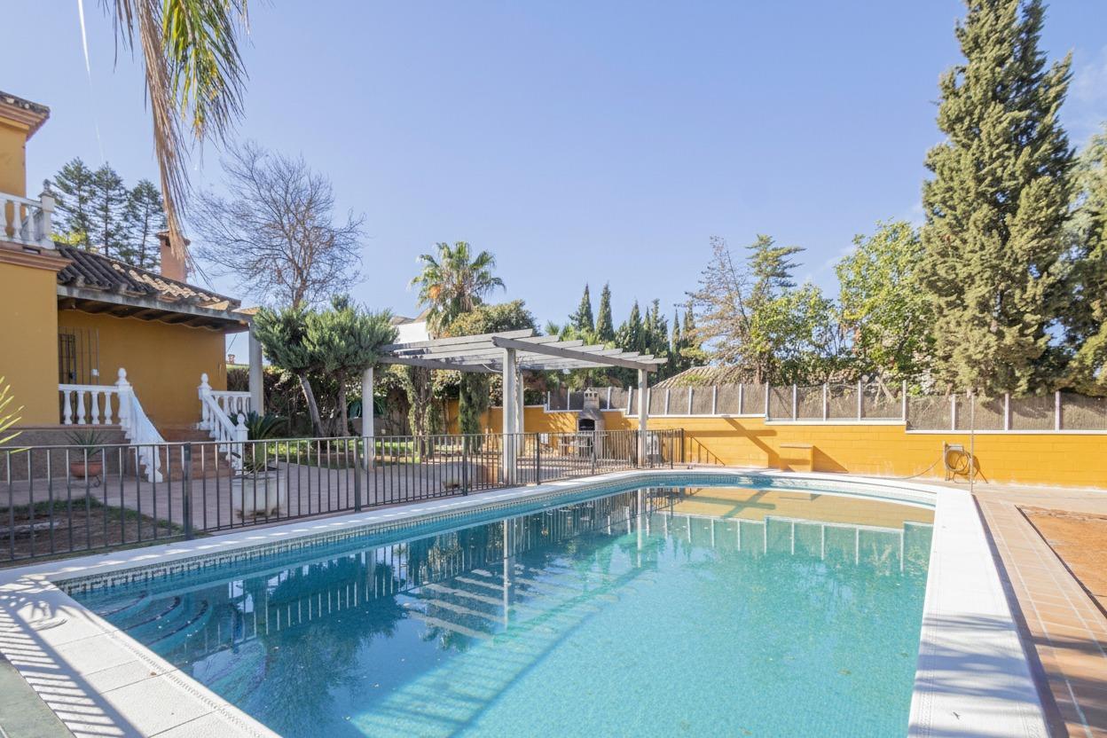 Casas o chalets-Venta-Mairena del Alcor-1942397-Foto-62