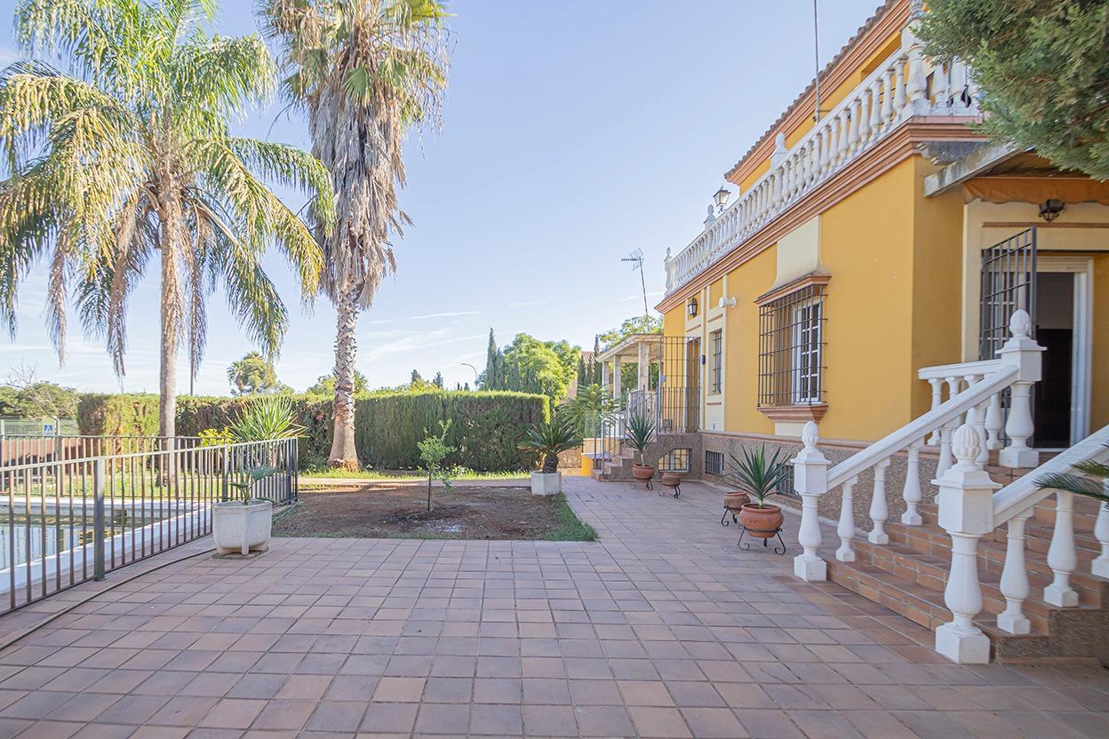 Casas o chalets-Venta-Mairena del Alcor-1942397-Foto-65