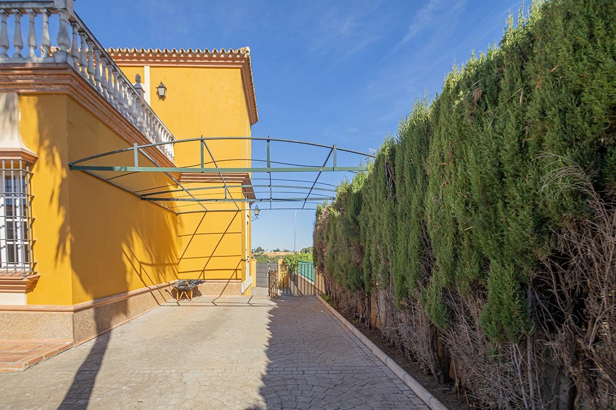 Casas o chalets-Venta-Mairena del Alcor-1942397-Foto-78